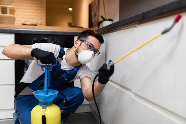 Best Bed Bug Extermination  in Hillsborough, NJ