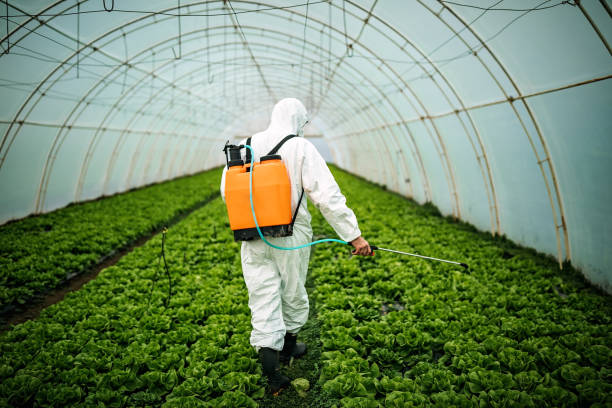 Best Affordable Pest Control Services  in Hillsborough, NJ