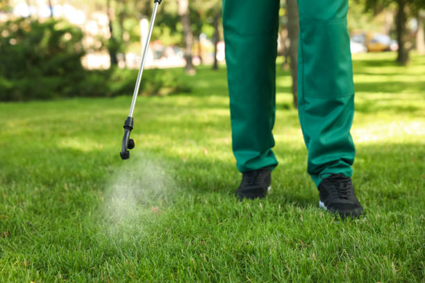 Best Emergency Pest Control  in Hillsborough, NJ