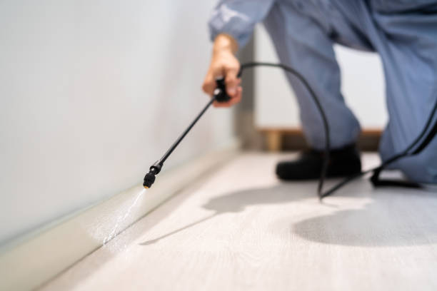 Reliable Hillsborough, NJ Pest Control Solutions