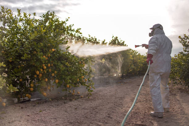 Best Best Pest Control Companies  in Hillsborough, NJ