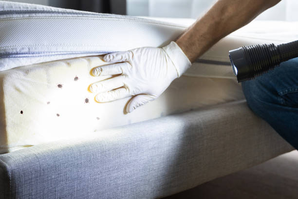 Best Pest Inspection Near Me  in Hillsborough, NJ