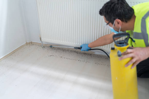 Best Residential Pest Control  in Hillsborough, NJ