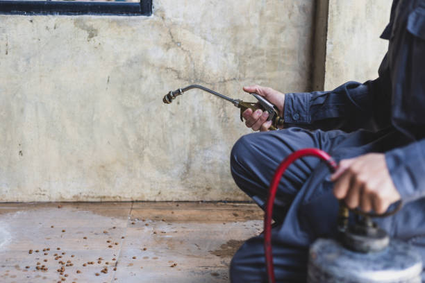 Best Pest Prevention Services  in Hillsborough, NJ