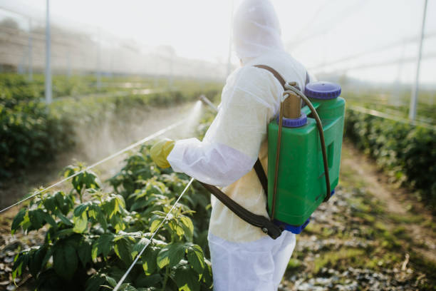 Best Wasp Removal Services  in Hillsborough, NJ